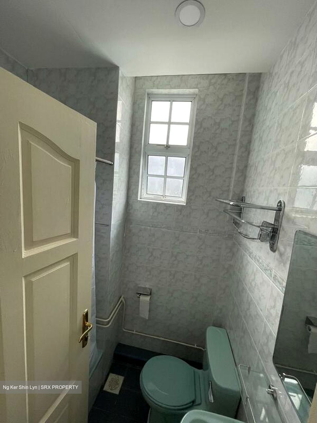 Bedok Avenue (D16), Semi-Detached #498240421